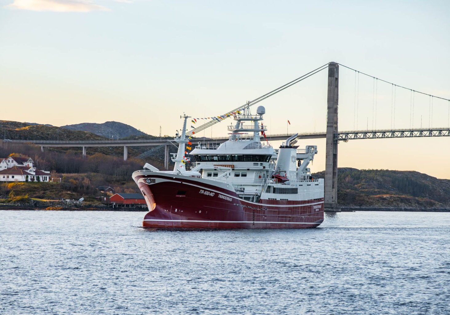 Staslige Trønderbas på tur inn Nærøysundet. Foto: Geir Vidar Nubdal