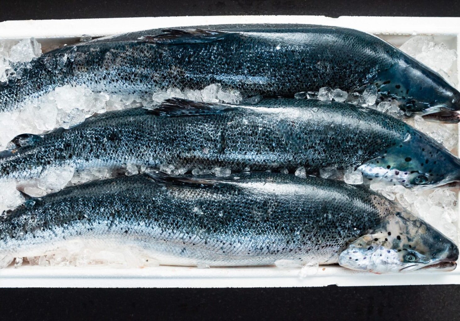 Europa er hovedmarkedet for norsk laks – og EUs regelverk påvirker verdiskaping og arbeidsplasser i hele Namdalen.