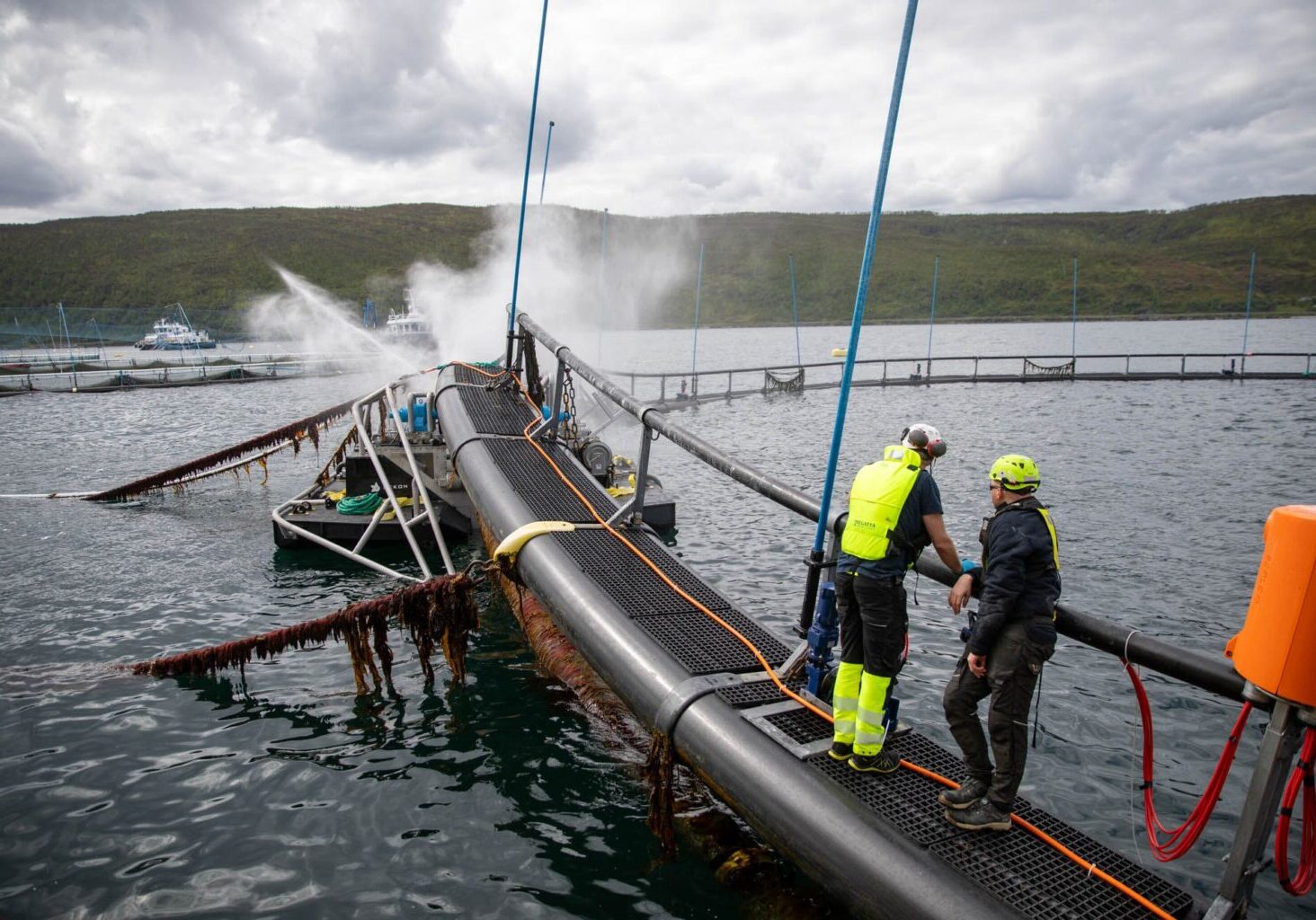 Foto: Lykt film og foto